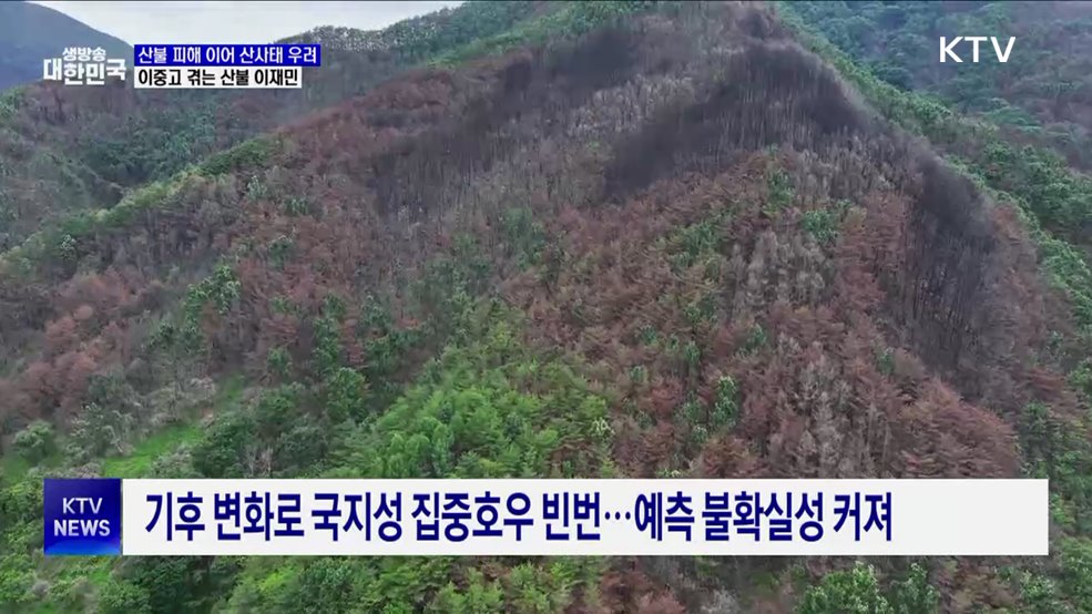 산불 피해에 산사태 우려까지···이중고 겪는 이재민