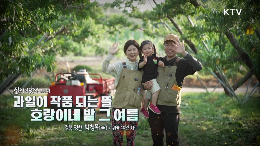 과일이 작품 되는 뜰 호랑이네 밭 그 여름