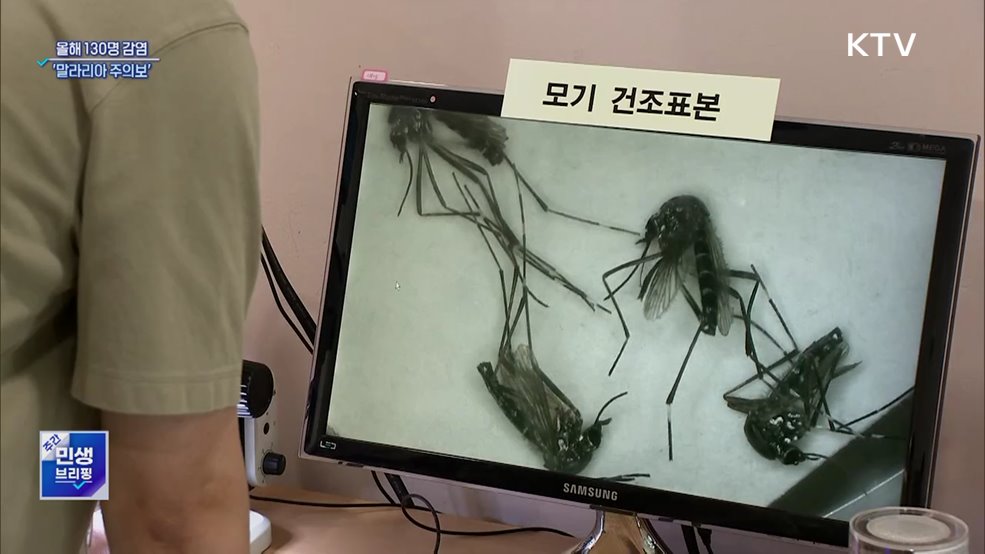 올해 130명 감염···전국 '말라리아 주의보' 발령