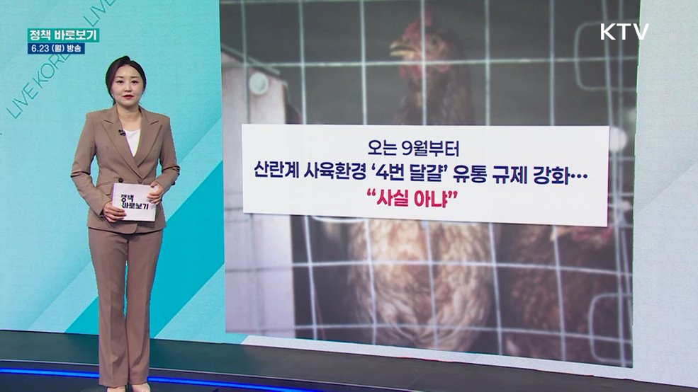 농식품부 "4번 계란 지속 생산 가능···안정적 수급관리 추진"