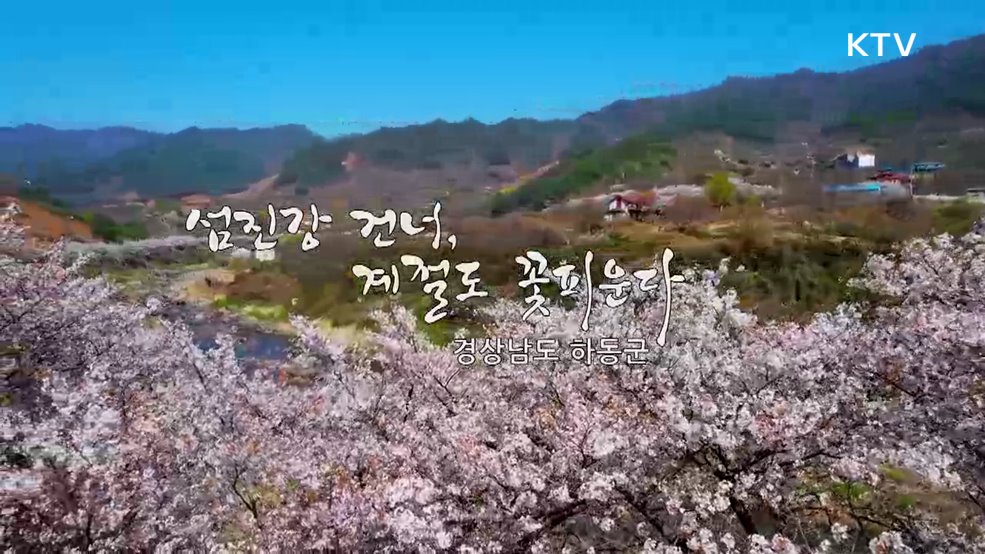 섬진강 건너, 계절도 꽃피운다 하동군