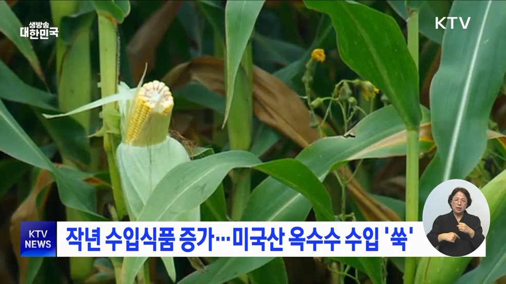 작년 수입식품 증가···미국산 옥수수 수입 '쑥'