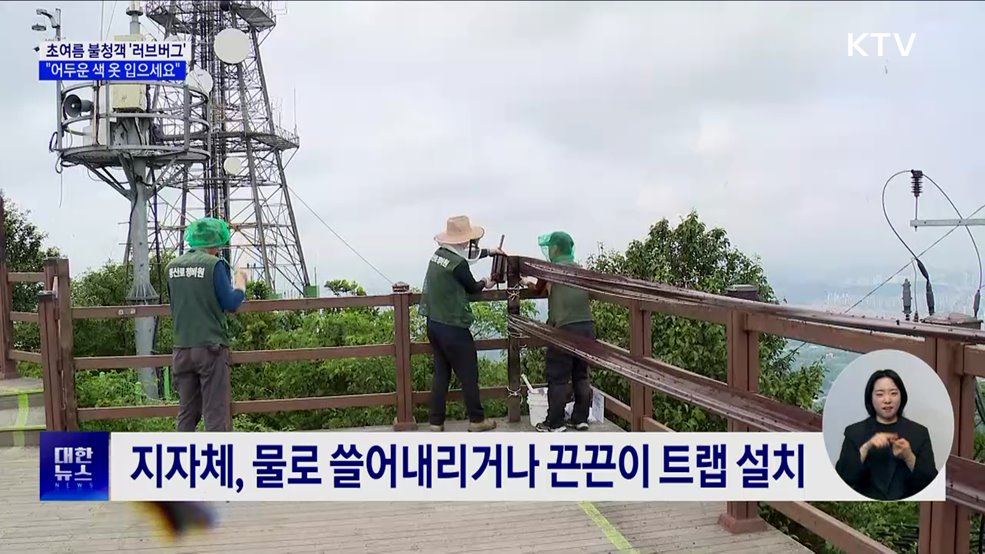 러브버그 피하려면? "어두운 색 옷 입으세요"