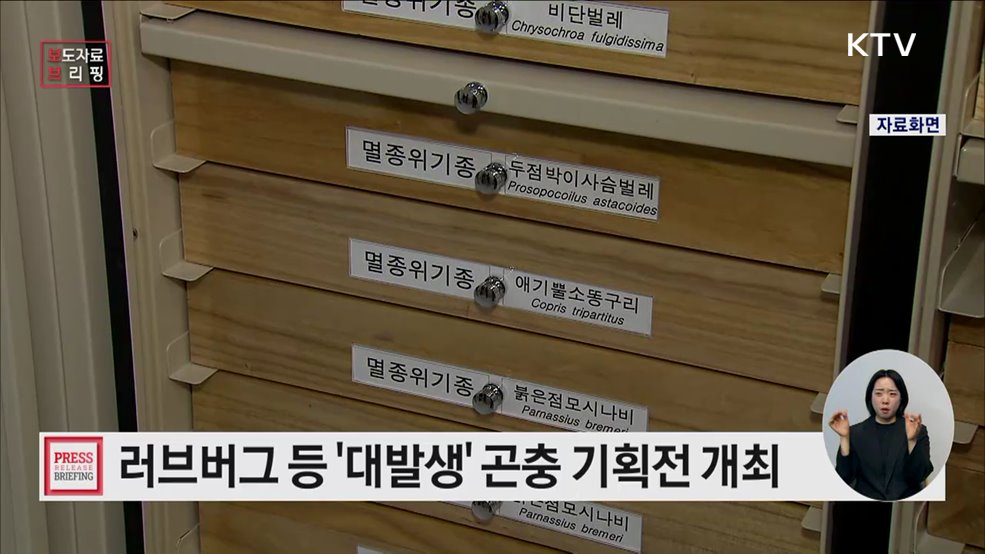 곤충, 작지만 강한 존재의 이유 알려드려요