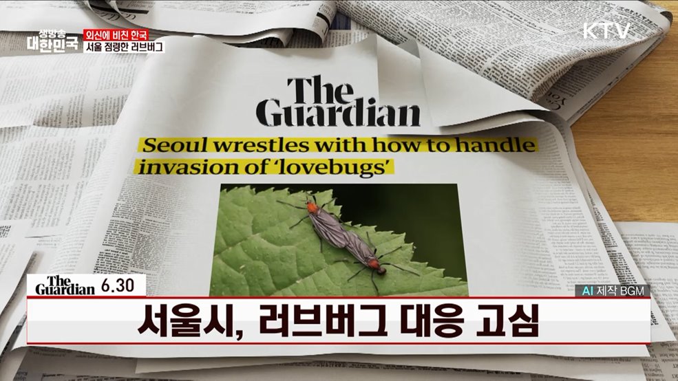 가디언 / 6.30 서울시, 러브버그 대응 고심 [외신에 비친 한국]