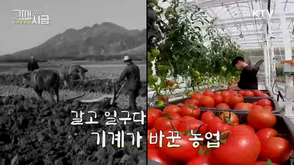 그때 그리고 지금 新문화영화