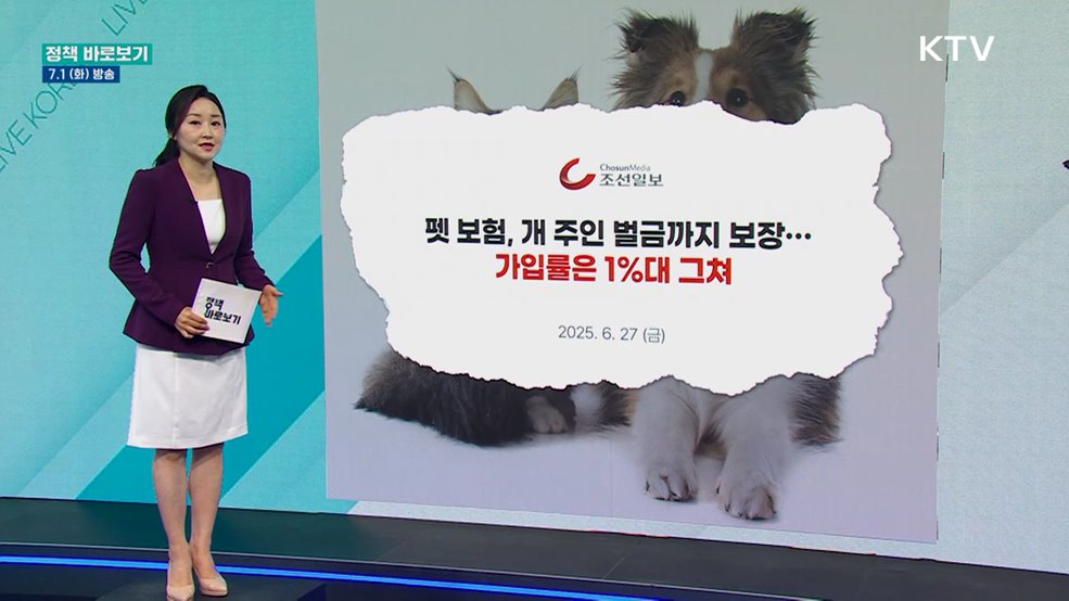 농식품부 "반려동물 진료 표준화 등 펫보험 활성화 기반 마련 중"