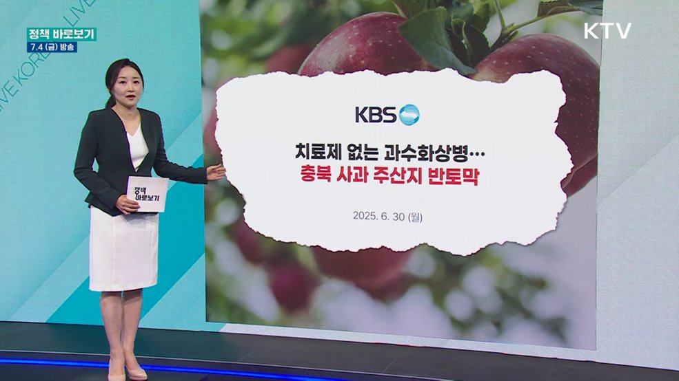 농진청 "충북 사과 주산지 반토막? 사실과 달라"