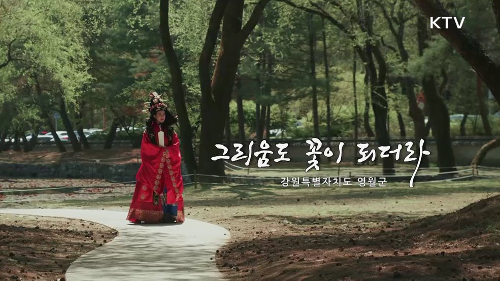 가고 싶은 곳 영상미학