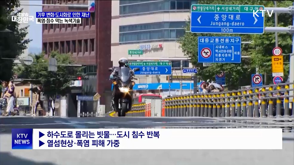 녹색 기술로 기후 변화에 대비하는 도시