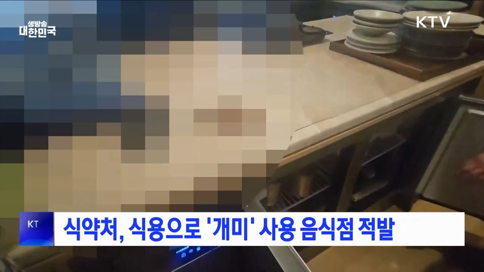 식약처, 식용으로 '개미' 사용 음식점 적발