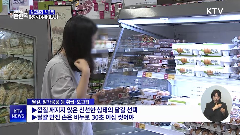 여름철 달걀 관리 아차하면 '살모넬라 식중독'