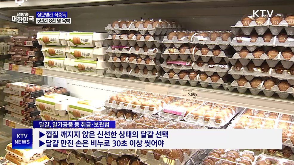 여름철 달걀 관리 아차하면 '살모넬라 식중독'