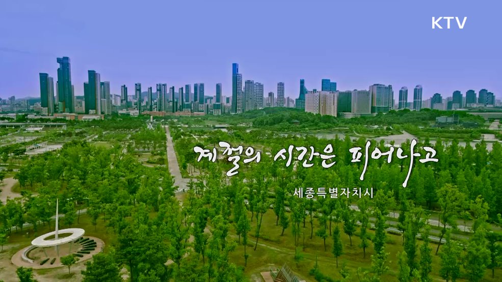 계절의 시간은 피어나고 세종특별자치시