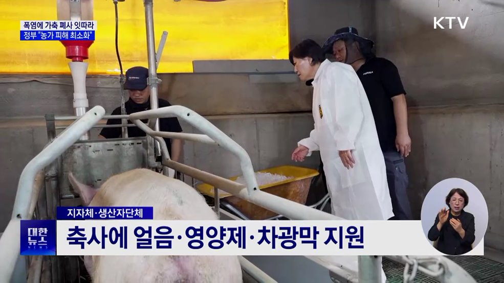 폭염에 61만 가축 폐사···24시 점검·긴급 급수 지원