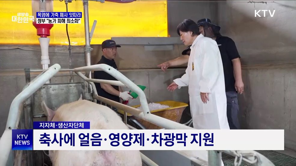 폭염에 61만 가축 폐사···24시 점검·긴급 급수 지원