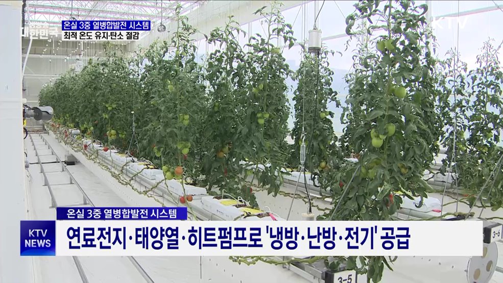신재생에너지 활용 '스마트 온실'···온도 유지·탄소 절감