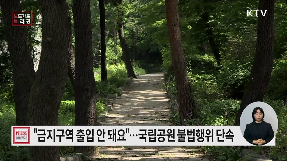 국립공원 여름철 불법·무질서 행위 집중단속