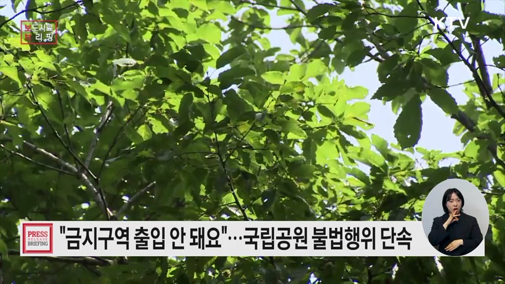 국립공원 여름철 불법·무질서 행위 집중단속