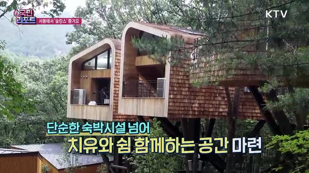 서울 첫 도심형 자연휴양림 '수락휴' 개장