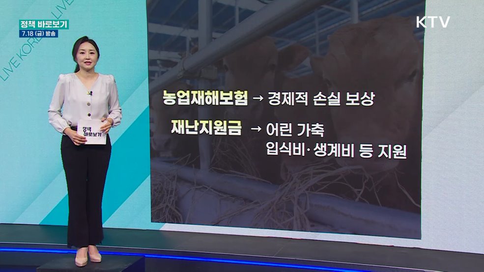  농식품부 "농업인 경영 안전망 구축 위해 지속 노력"