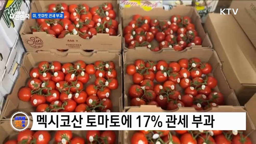 미국, 멕시코산 토마토 관세 논란 [글로벌 핫이슈]