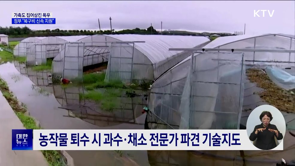 가축도 집어삼킨 폭우···"폐사축 처리·복구비 신속 지원"