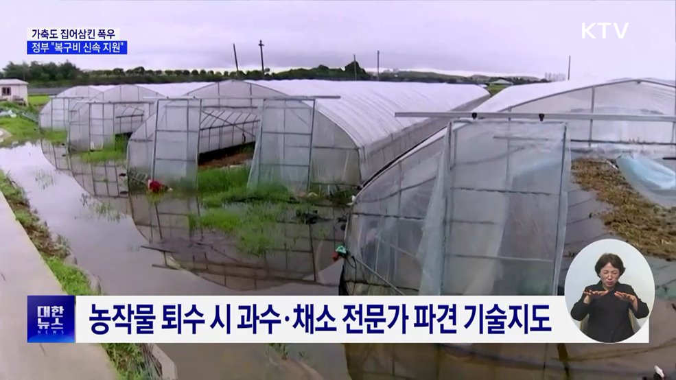 가축도 집어삼킨 폭우···"폐사축 처리·복구비 신속 지원"