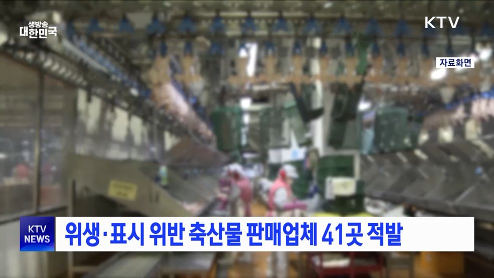 위생·표시 위반 축산물 판매업체 41곳 적발