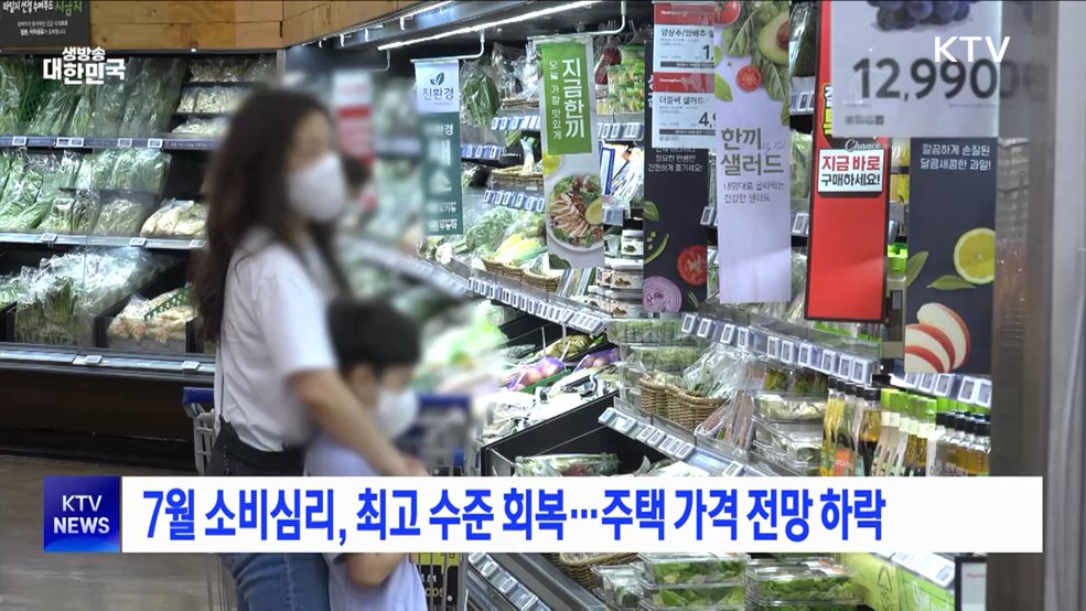 7월 소비심리, 최고 수준 회복···주택 가격 전망 하락