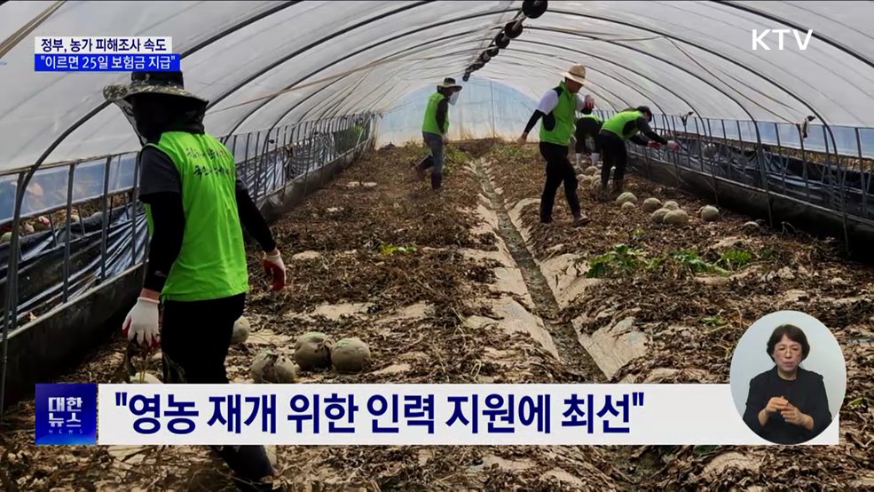 피해농가 신속 손해평가 추진···"25일부터 보험금 지급"