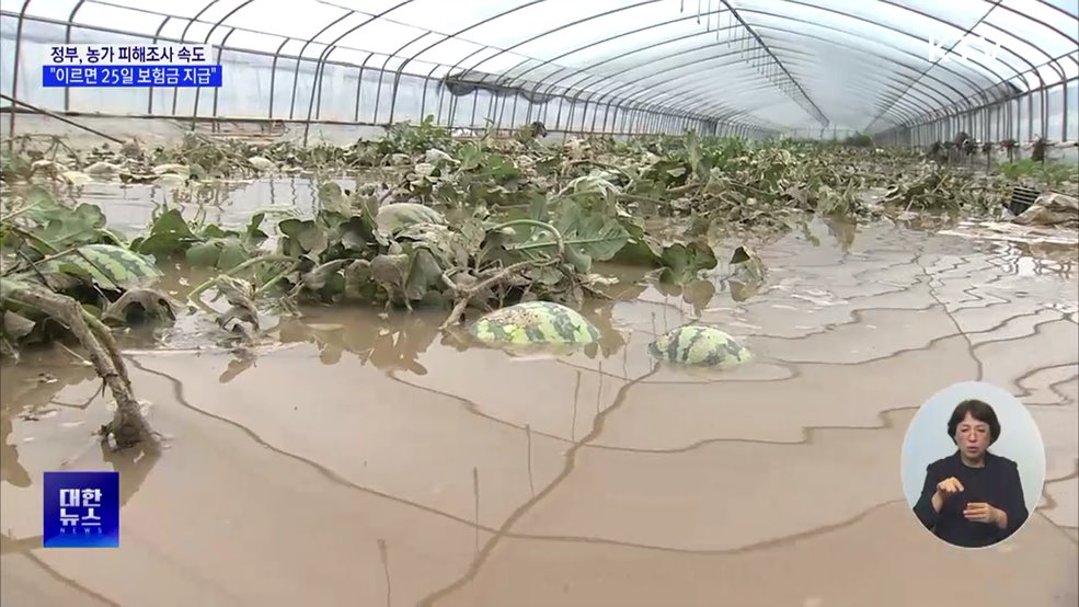 피해농가 신속 손해평가 추진···"25일부터 보험금 지급"