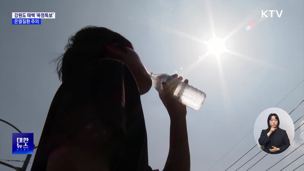 고산지대 태백도 '폭염특보'···온열질환 주의