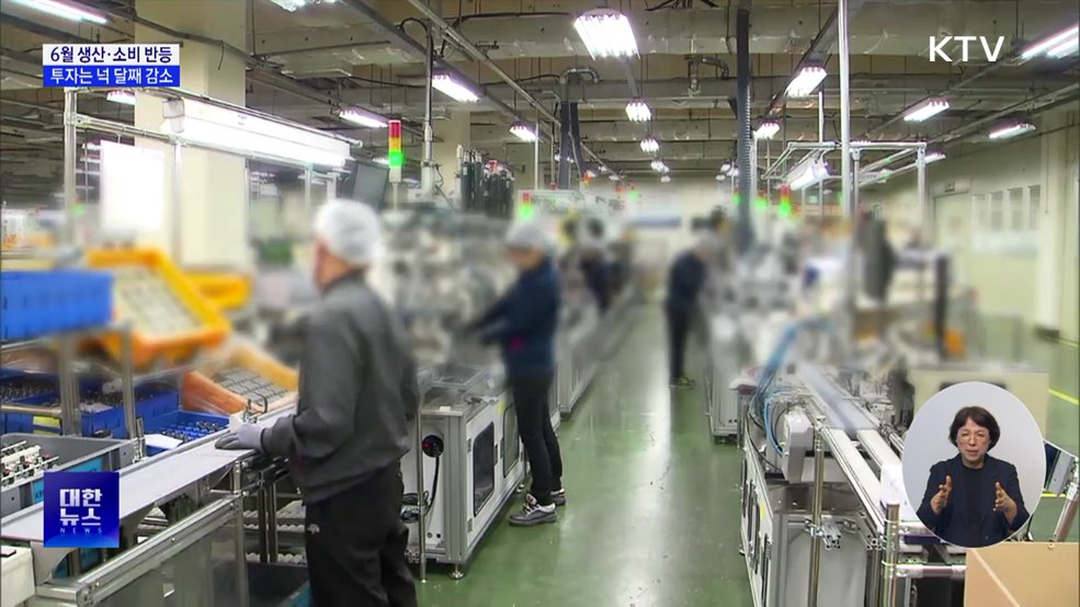 6월 생산·소비 반등···투자는 넉 달째 감소