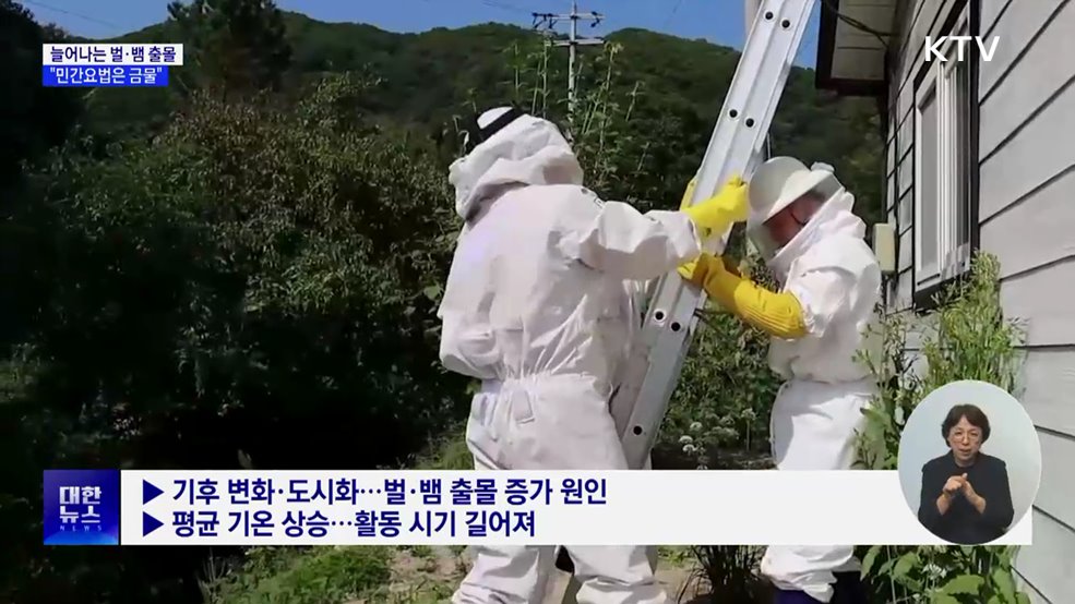 뱀물림·벌쏘임 사고 증가···"민간요법은 금물"