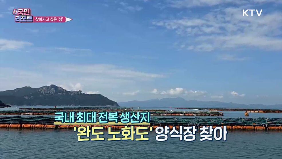 가고 싶은 섬 '노화도·보길도' 피서객 손짓