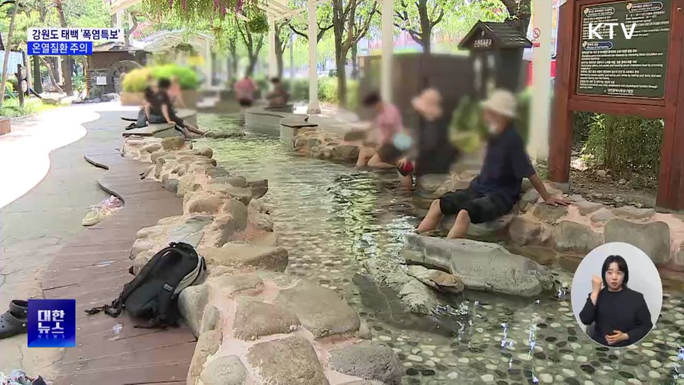 고산지대 태백도 '폭염특보'···온열질환 주의