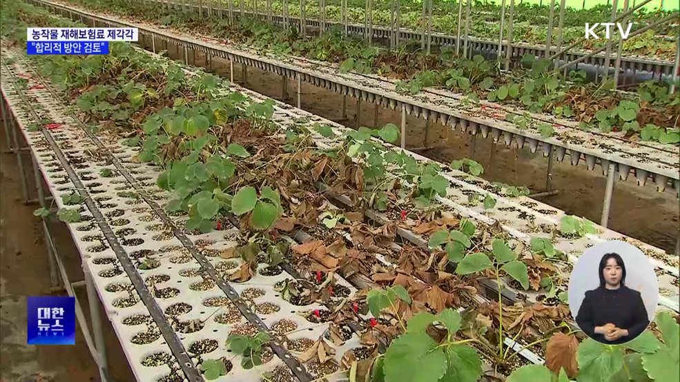 농작물 재해보험료, 지역별로 제각각···"격차 줄이는 방안 검토"