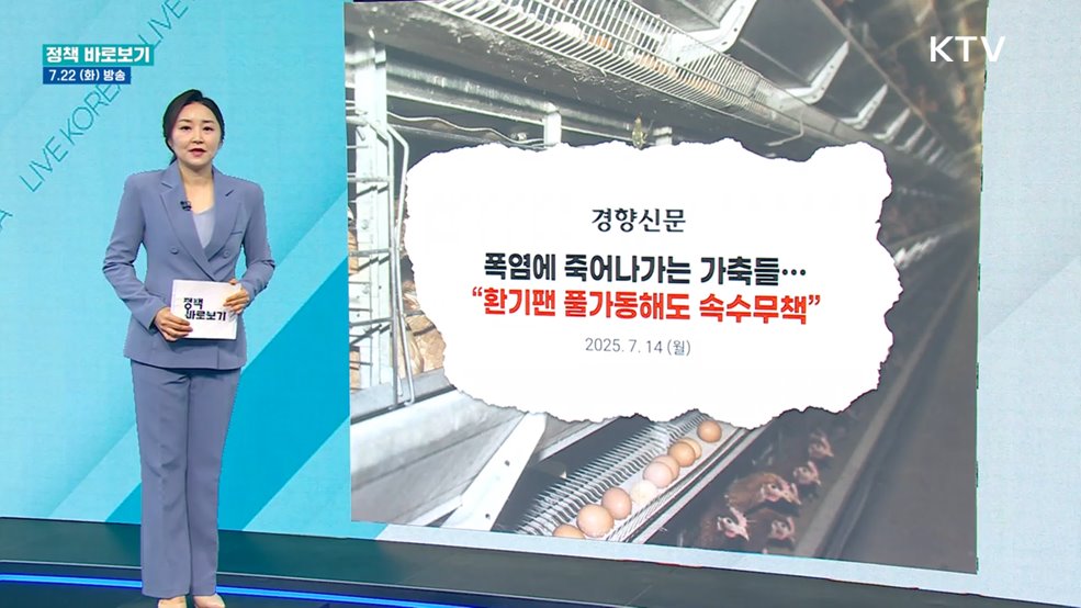 농식품부 "축산농가 폭염 피해 최소화에 최선"