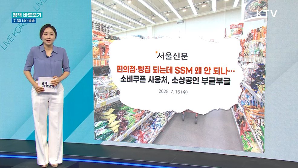 행안부 "소비쿠폰 사용처, 소상공인 지원 취지 등 고려해 결정"