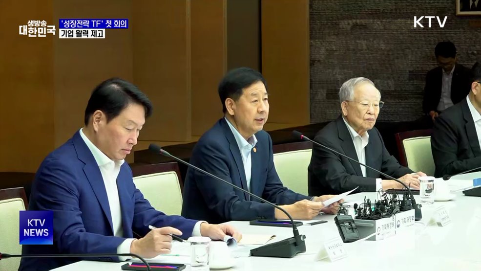 '성장전략 TF' 첫 회의···기업 활력 제고