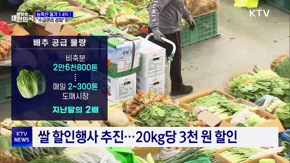 배추 비축분 2배 더 푼다···농축산물 수급 관리 강화