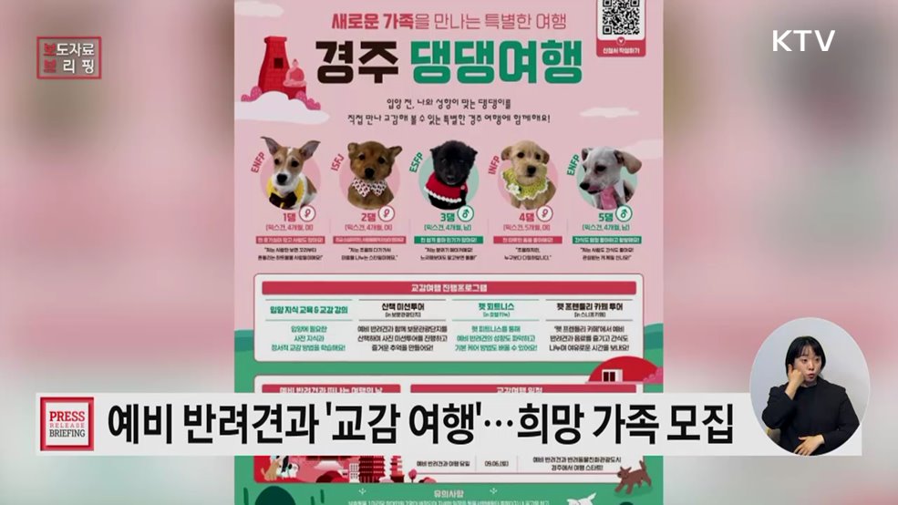 '경주 댕댕여행', 새로운 가족을 만나는 여행!