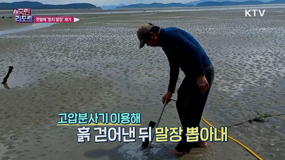 강화군 볼음도 갯벌 '방치된 말장' 뽑는다