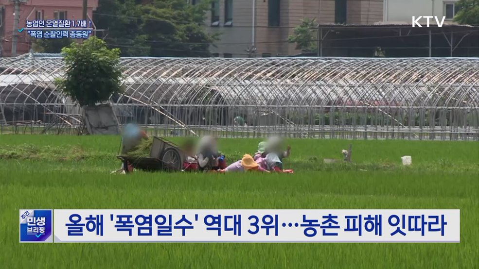 농업인 온열질환 1.7배↑···"순찰 강화·냉방장비 지원"