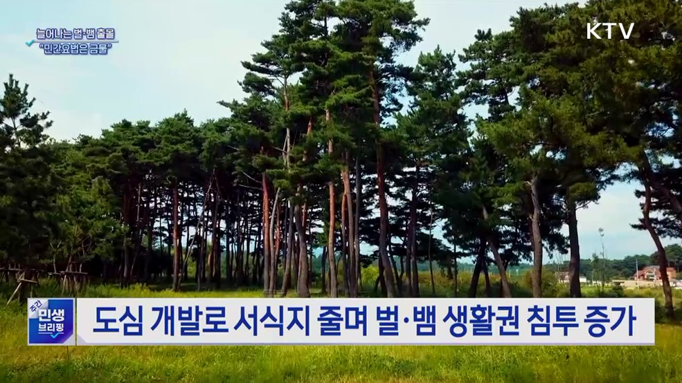 뱀물림·벌쏘임 사고 증가···"민간요법은 금물"