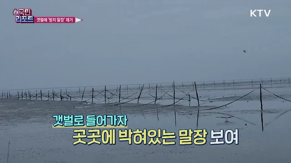 강화군 볼음도 갯벌 '방치된 말장' 뽑는다