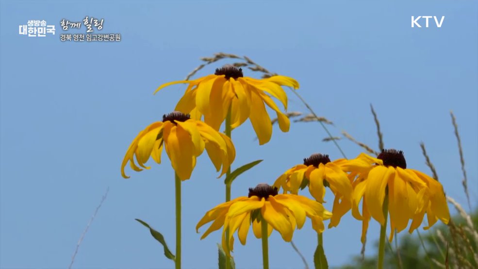 경북 영천 임고강변공원 [함께 힐링]