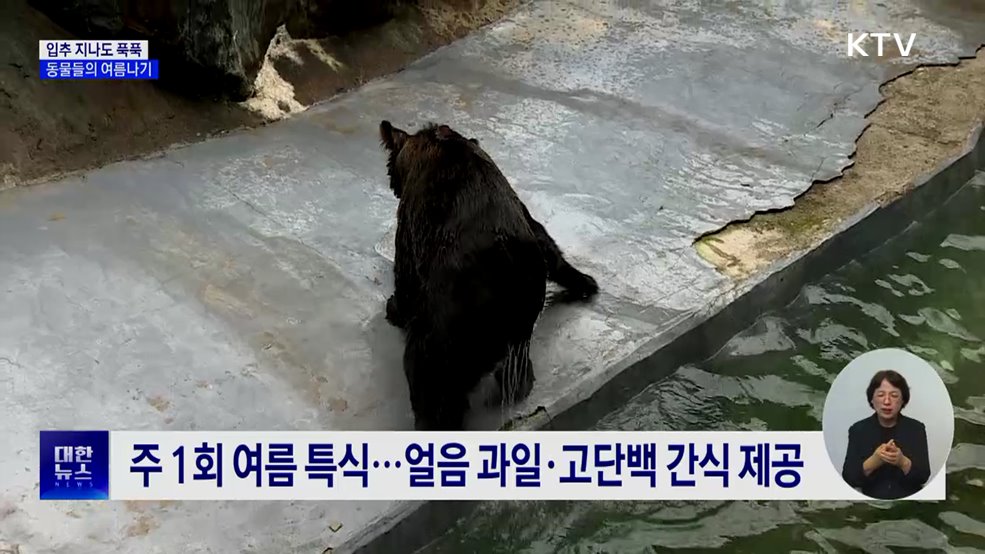 얼음 간식에, 찬물 샤워···동물들의 막바지 여름나기