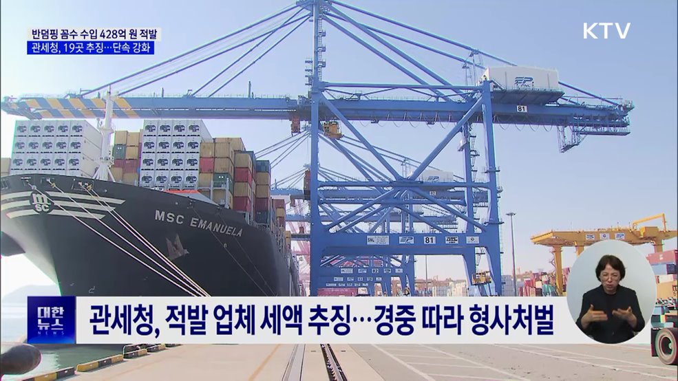 '철강 꼼수 수입' 428억 원 적발···관세청 19개 업체 추징